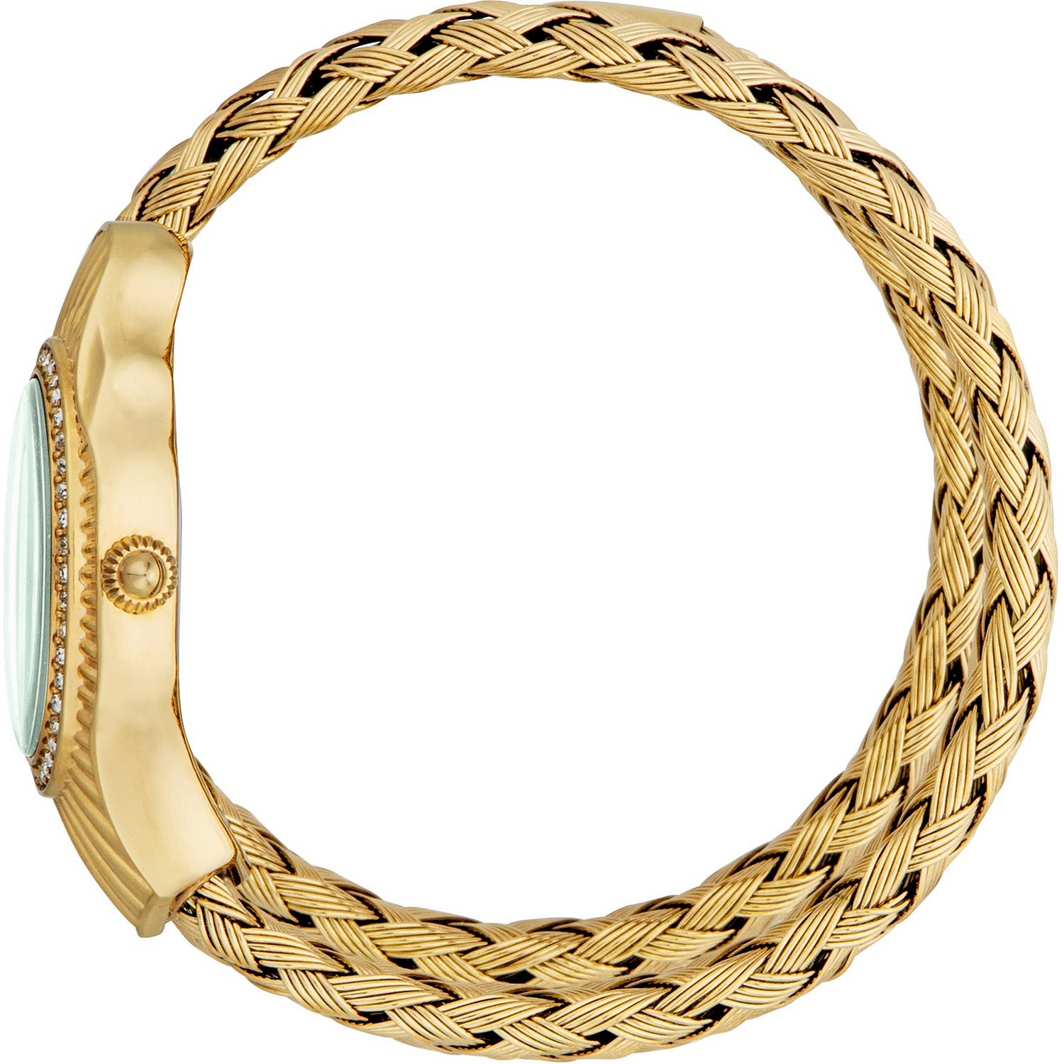 Roberto Cavalli Watches