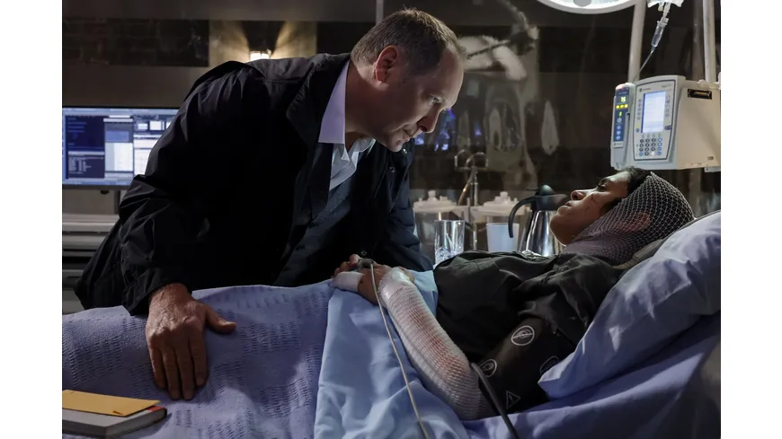 The Blacklist - Die komplette neunte Season  [5 DVDs]