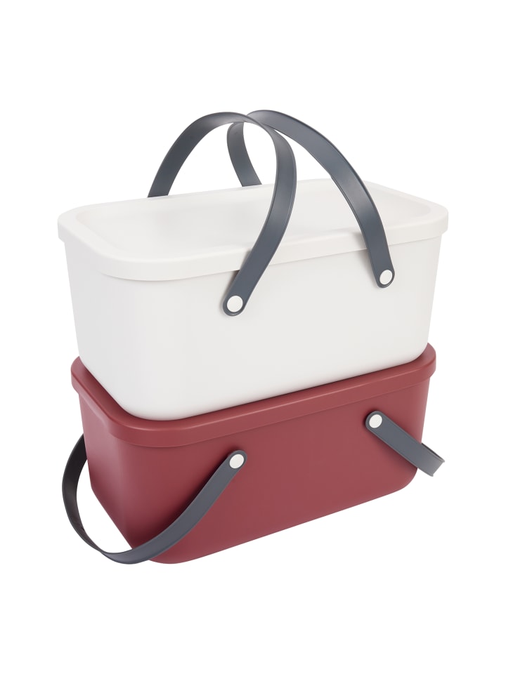 Rotho Set Tragekorb 12l 2 tlg. RUMA günstig kaufen onesize
