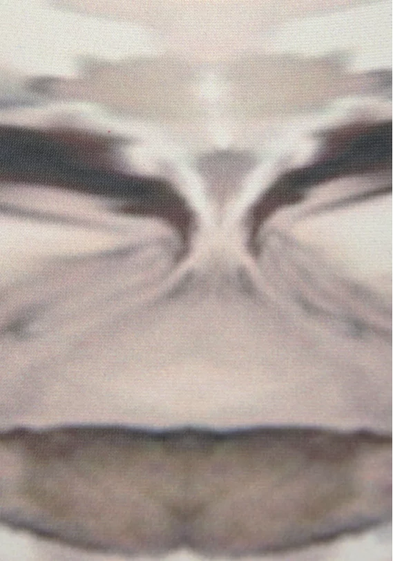 Funktionsshirt