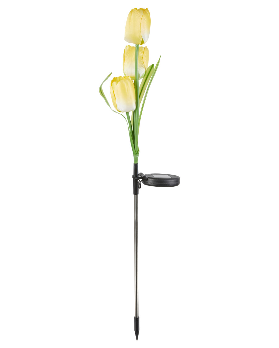 Solarstecker Tulpe