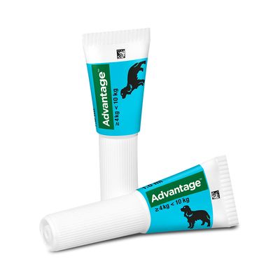 Advantage® 100 für Hunde, von 4 bis 10 kg