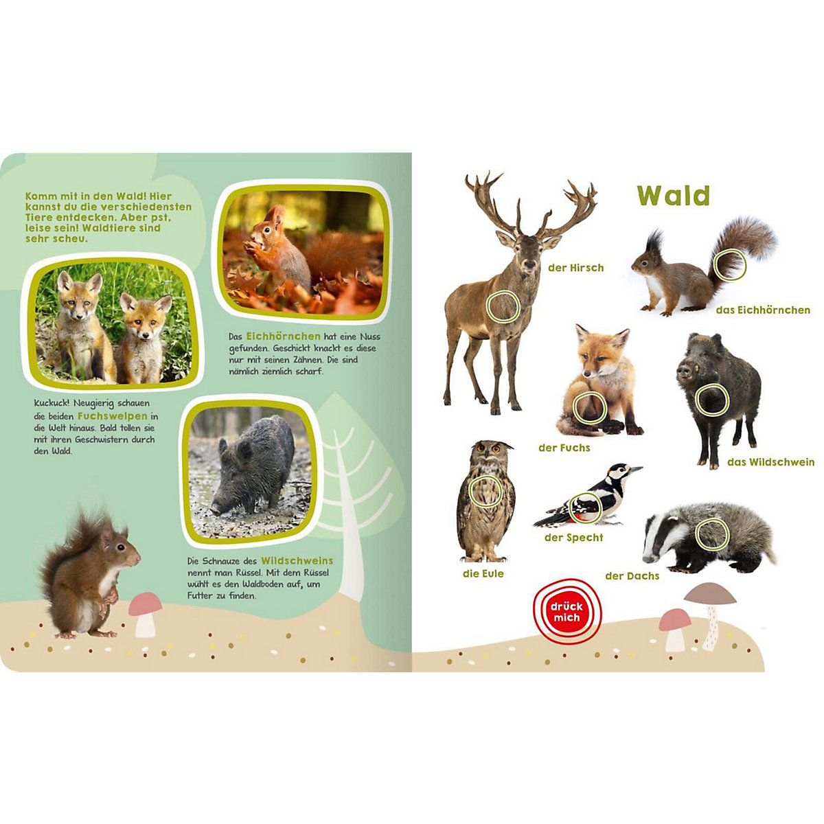 Mein großes Buch der Tiergeräusche, Soundbuch mit Tiergeräuschen