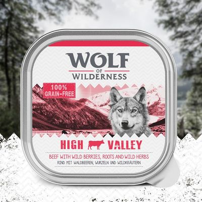 Wolf of Wilderness Adult 6 x 300 g Schale - Single Protein