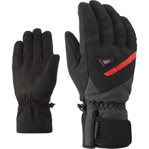 HERREN HANDSCHUHE GARY AS(R) GLOVE SKI ALPINE