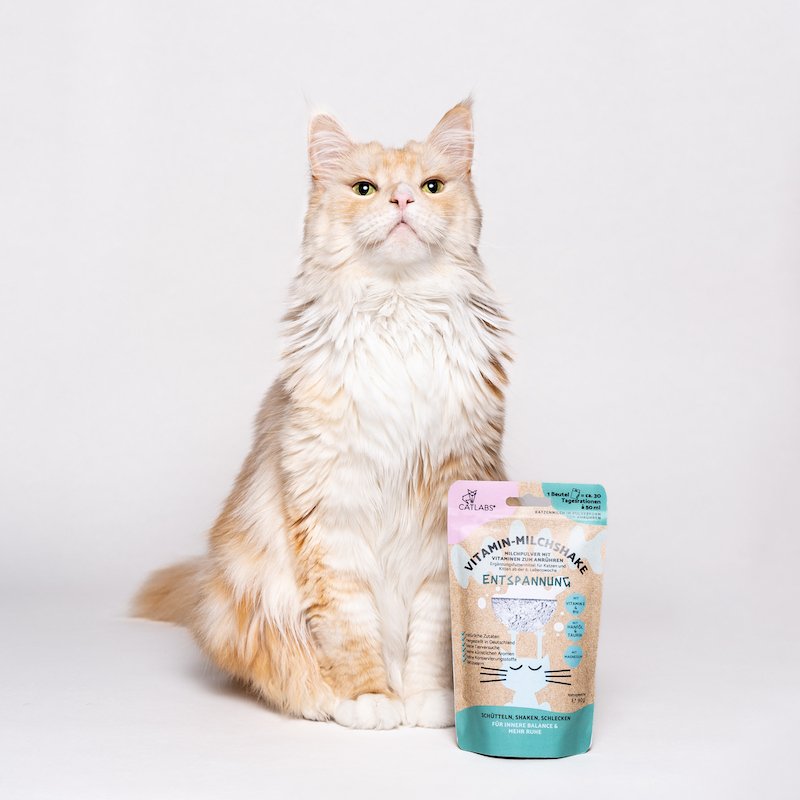 Catlab Katzenmilch & Getränke Catlab Vitamin-Milchshake für Katzen Entspannung