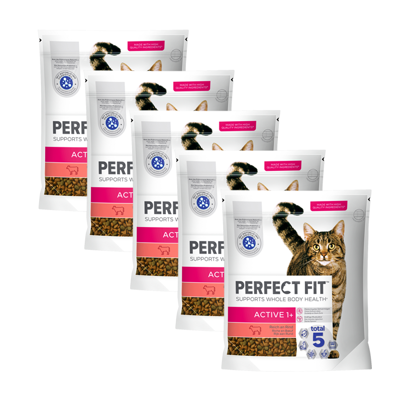 PERFECT FIT Trockenfutter PERFECT FIT Active 1+ mit Rind 5x1,4 kg