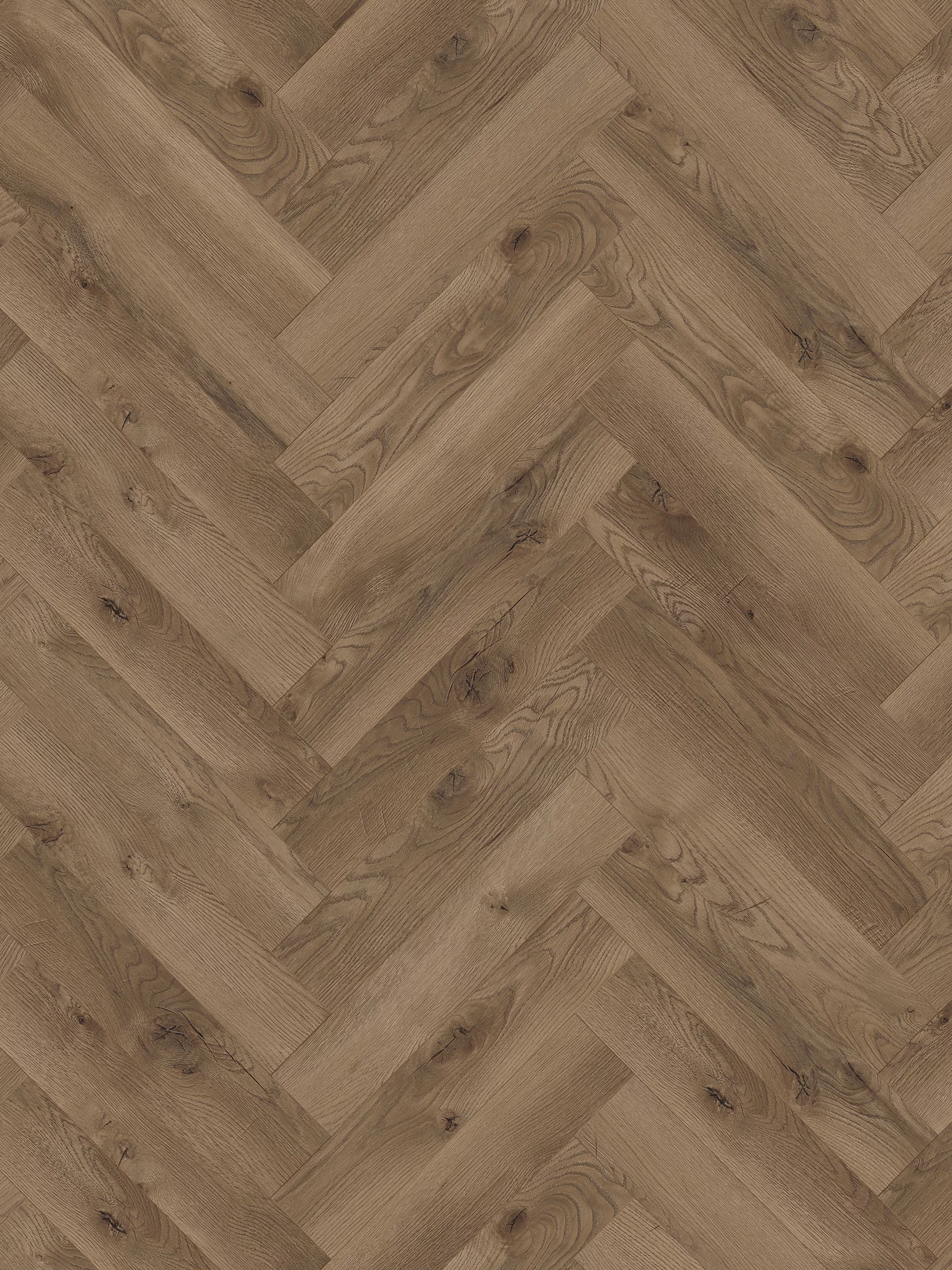 Espina Klick-Laminat, Bilbao Oak 65515