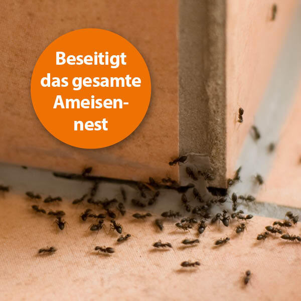 Ardap Zubehör Ardap Ameisen Streu- und Gießmittel M