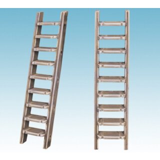 Metal Ladders (2)