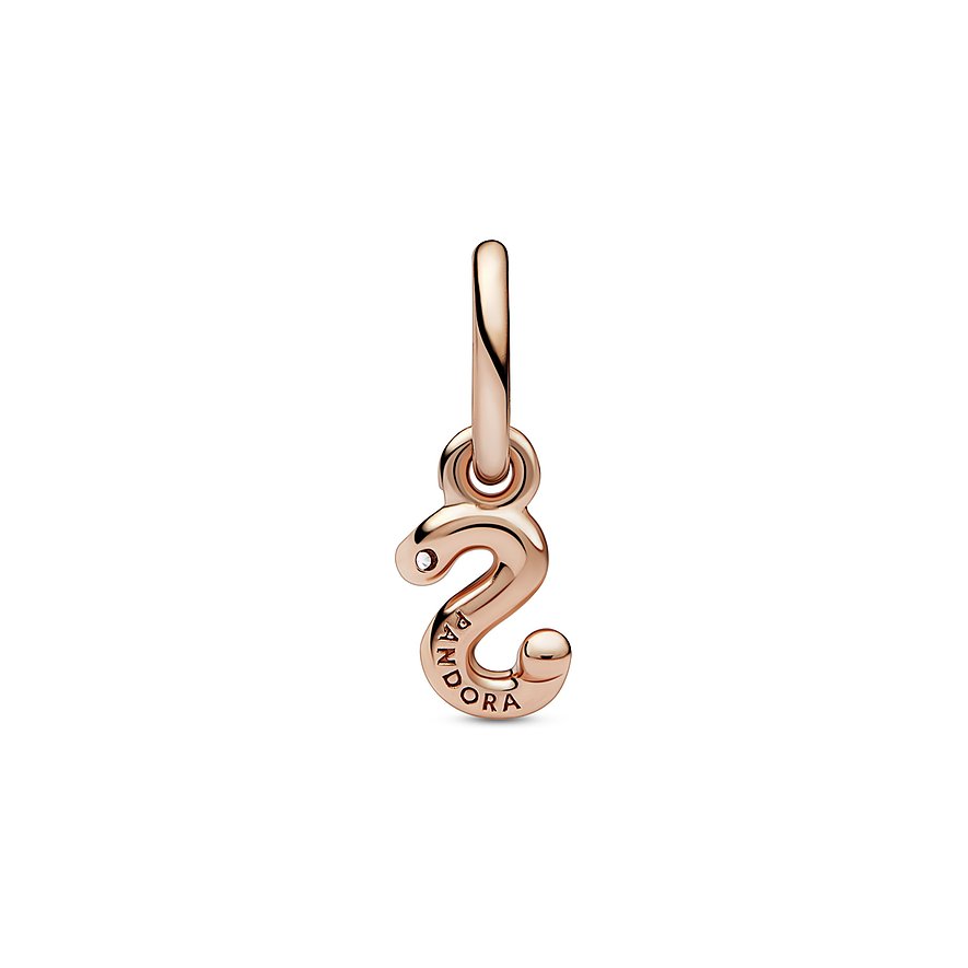 Pandora Charm Moments