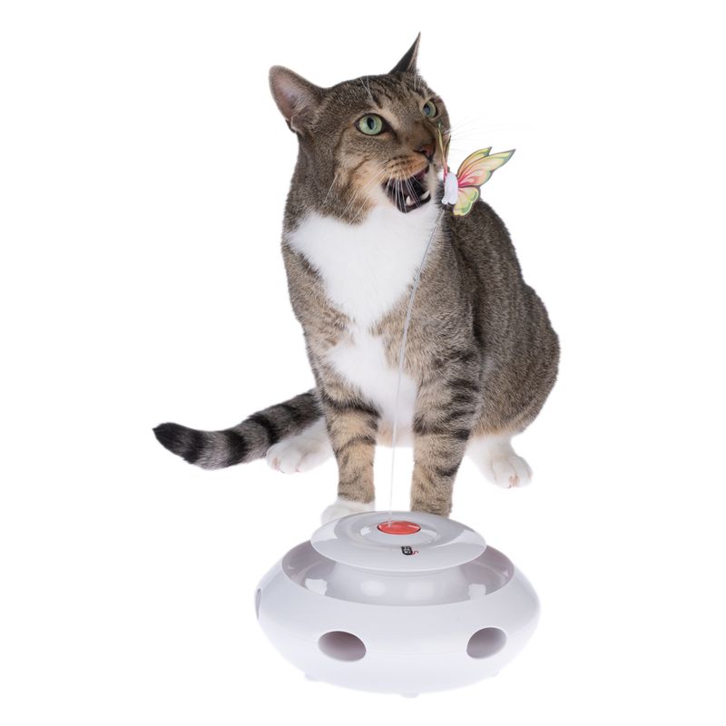 TIAKI 3-in-1 Katzenspielzeug Mariposa zu TOP-Preisen | bitiba %