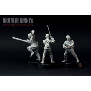 Noodle Clan Ninjas (28 mm) (3)