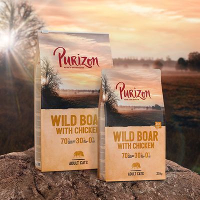 Purizon Adult Wildschwein mit Huhn - getreidefrei