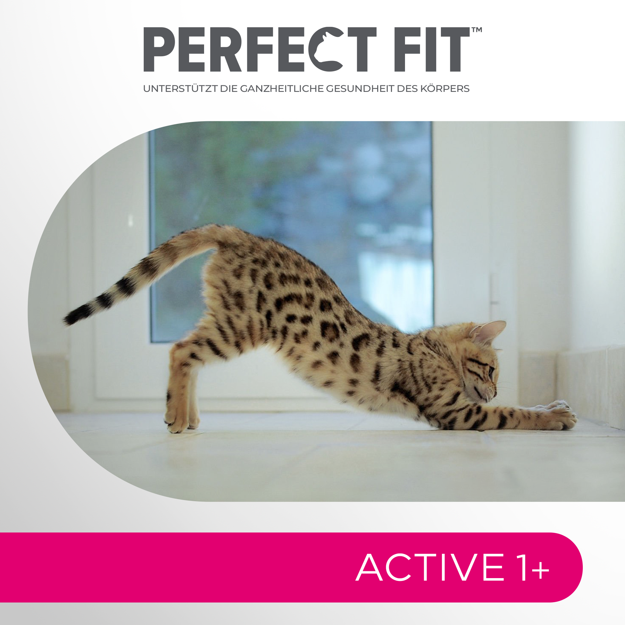 PERFECT FIT Trockenfutter PERFECT FIT Active 1+ mit Rind 6x750 g