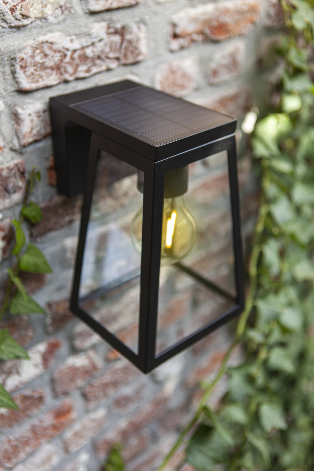 Solar Wandleuchte Fia schwarz