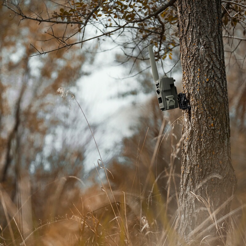 Spypoint Baumstativ für alle Spypoint Wildkameras