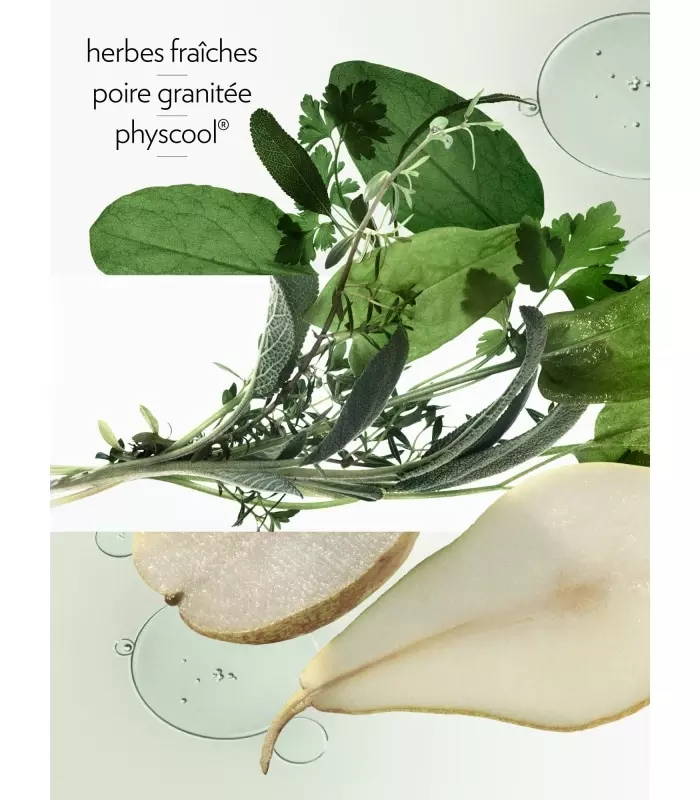 H24 HERBES VIVES Eau de parfum vaporisateur
