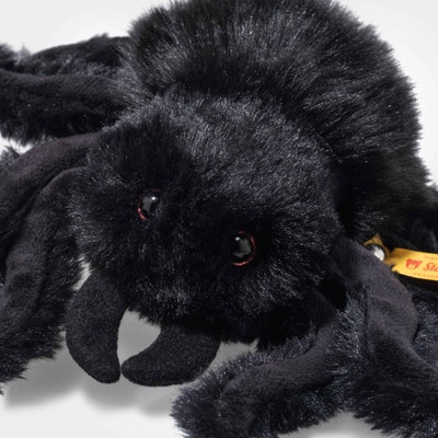Cobweb Spinne, 14 cm, schwarz