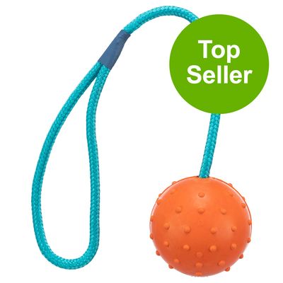 Trixie Hundespielzeug Gummiball mit Schnur