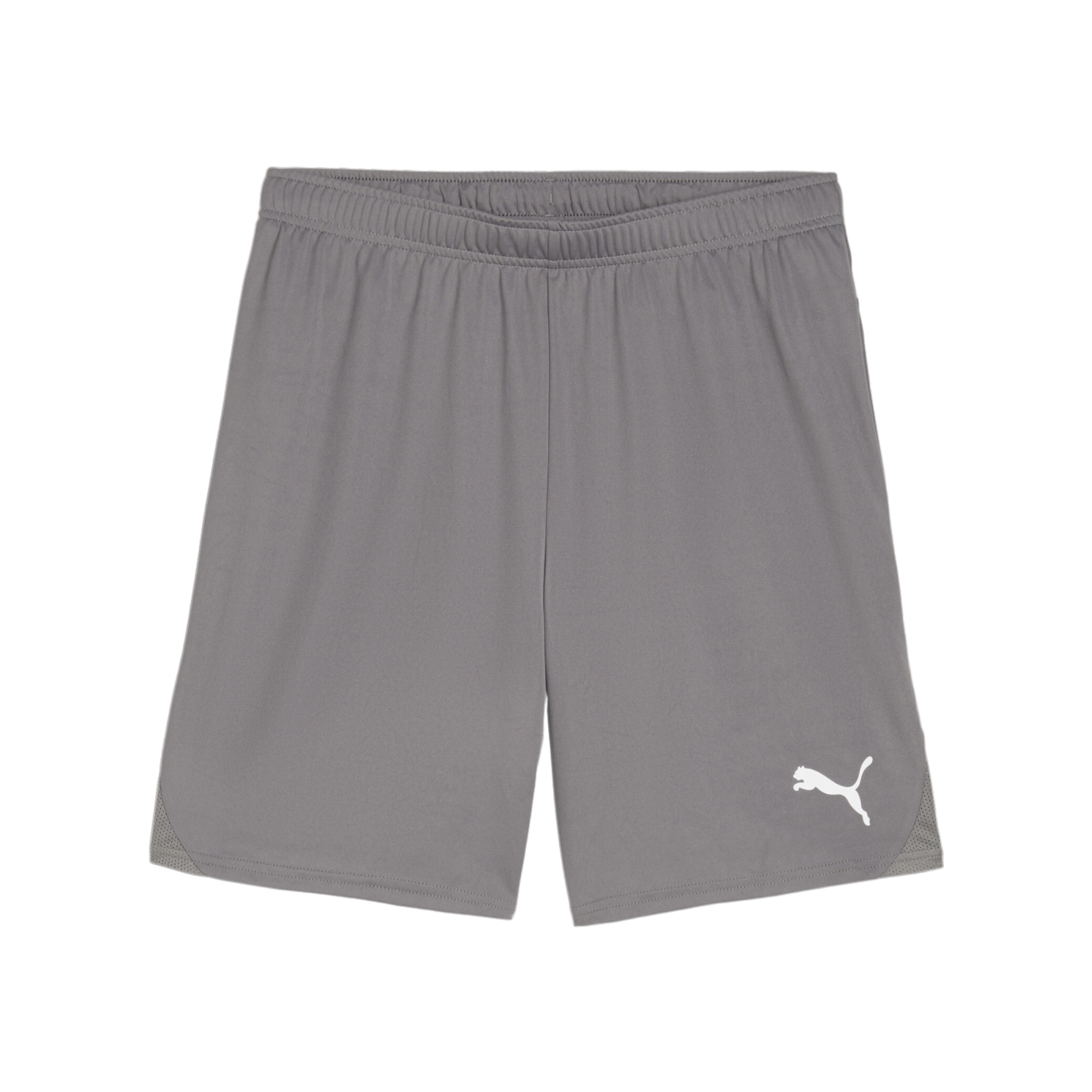 PUMA teamGOAL Short Grau Weiss F13
