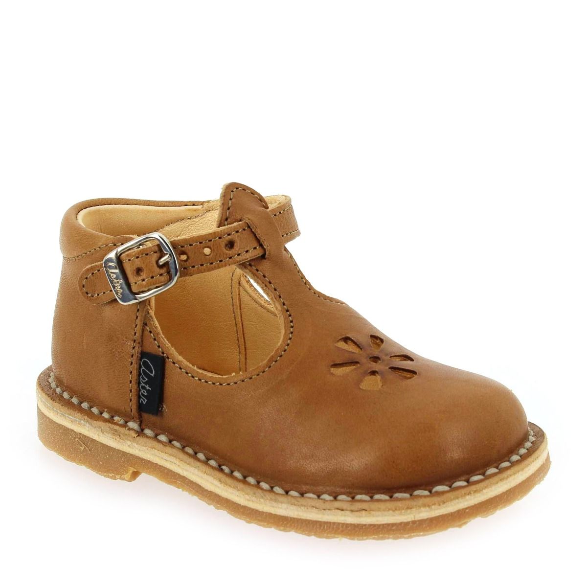 Aster  BIMBO 2 - Camel
