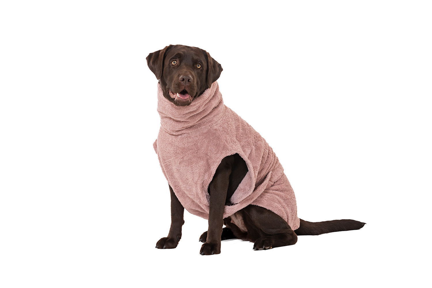 Lills Hundemäntel Lills Lill's Hundebademantel 