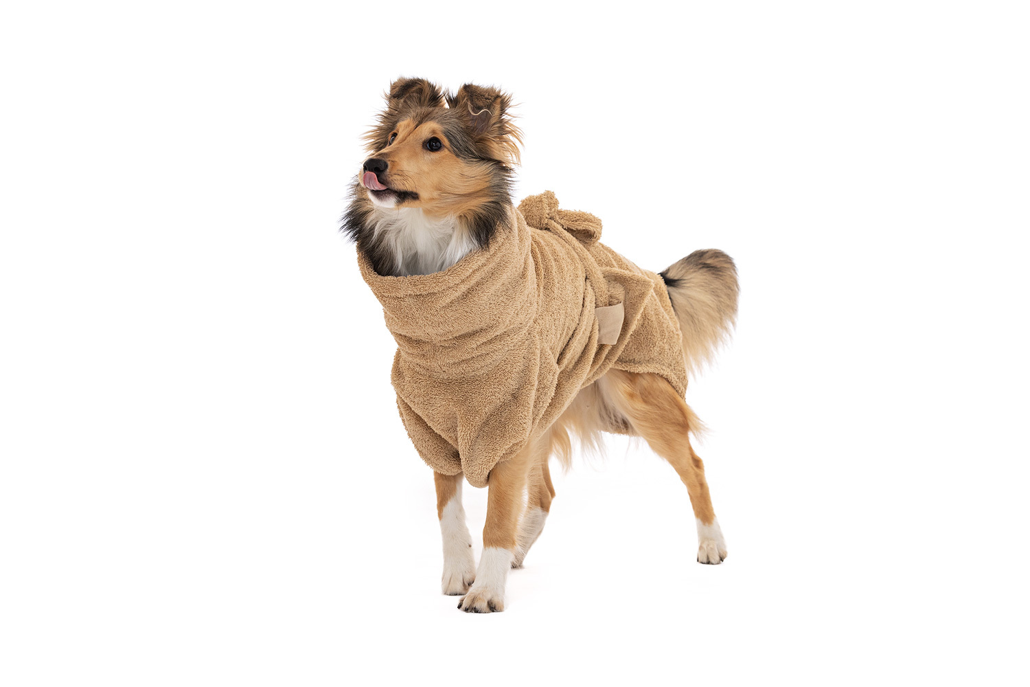 Lills Hundemäntel Lills Lill's Hundebademantel 