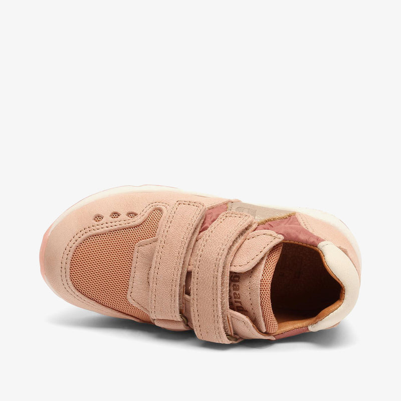 karla v rose - Rose