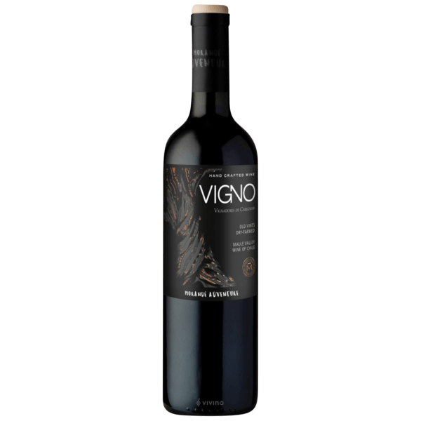Morande AdventureVigno Carignan 2018