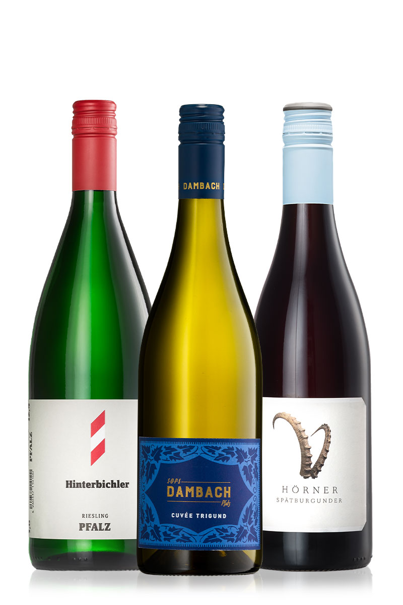 Winecation: Pfalz Geile Weine Weinpaket