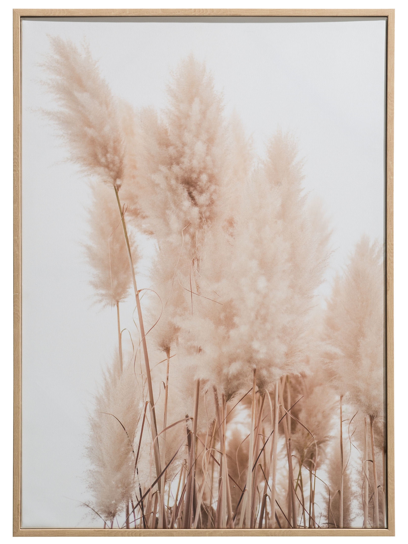 Pampas Para Leinwand-Druck-gerahmt, Beige