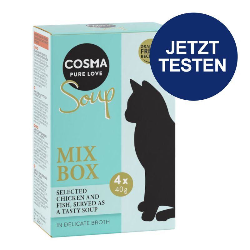 Probierpaket Cosma Soup 4 x 40 g zu TOP-Preisen