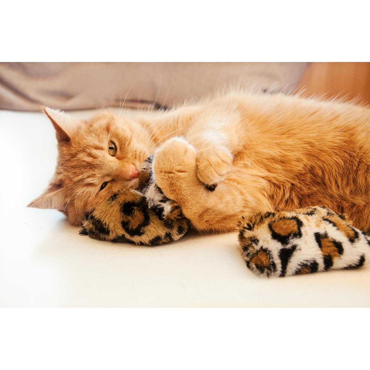 Aumüller Katzenspielkissen Safari Mini kaufen