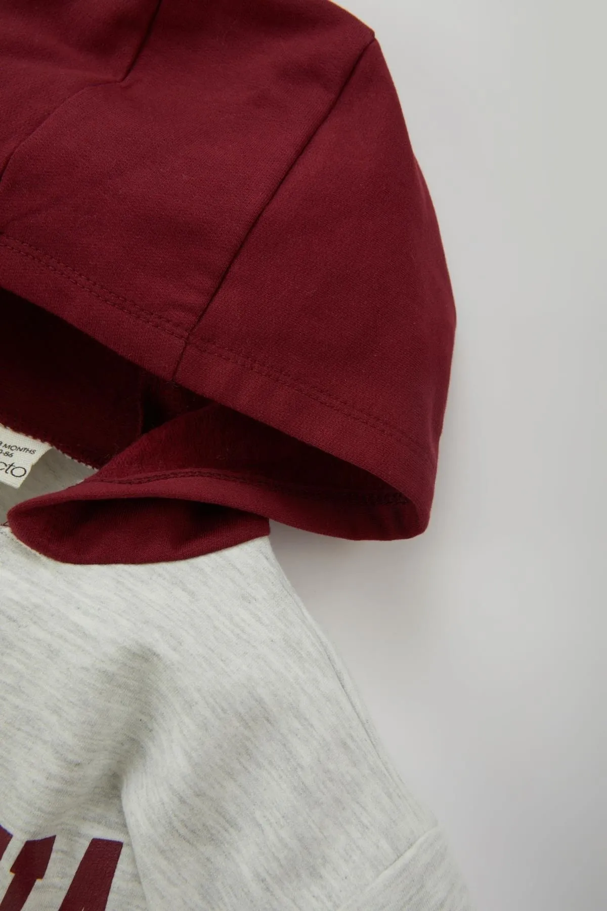 DeFacto  Bedrucktes, weich gefüttertes Sweatshirt mit Kapuze für Babys (Jungen).