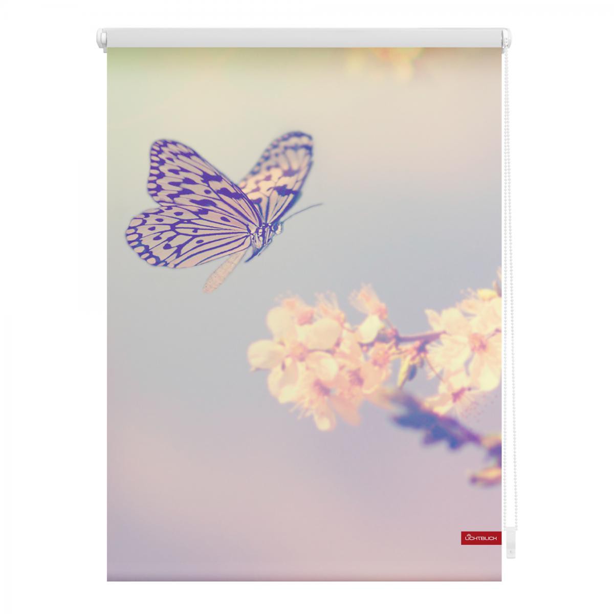 Lichtblick Rollo Klemmfix, ohne Bohren, blickdicht, Schmetterling - Rosa, 45 x 150 cm (B x L)