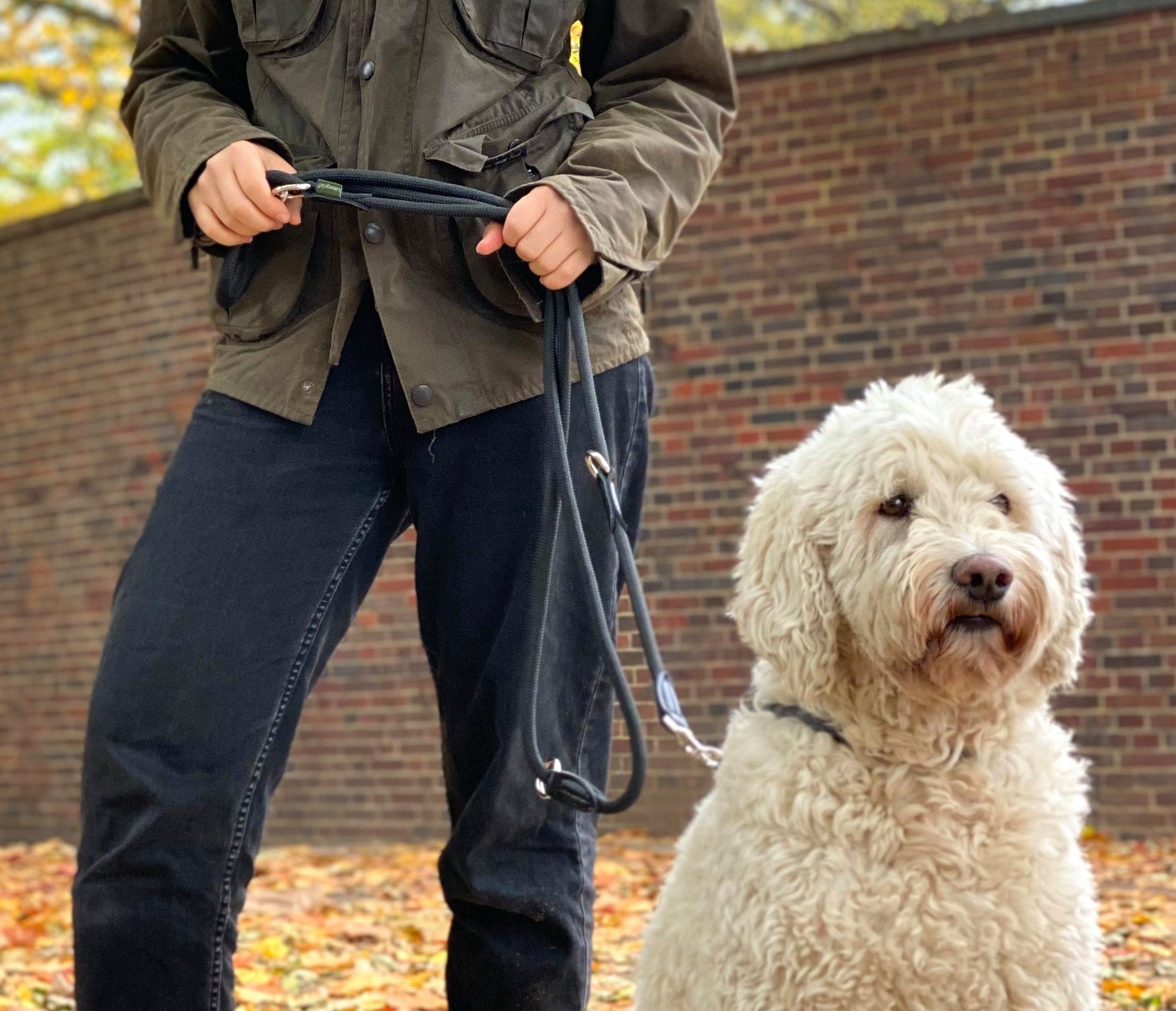 Leisegrün Hundeleine Hundeleine für große Hunde, Hundeleine 3m aus Nylon verstellbar, Nylon (Modell Derby)