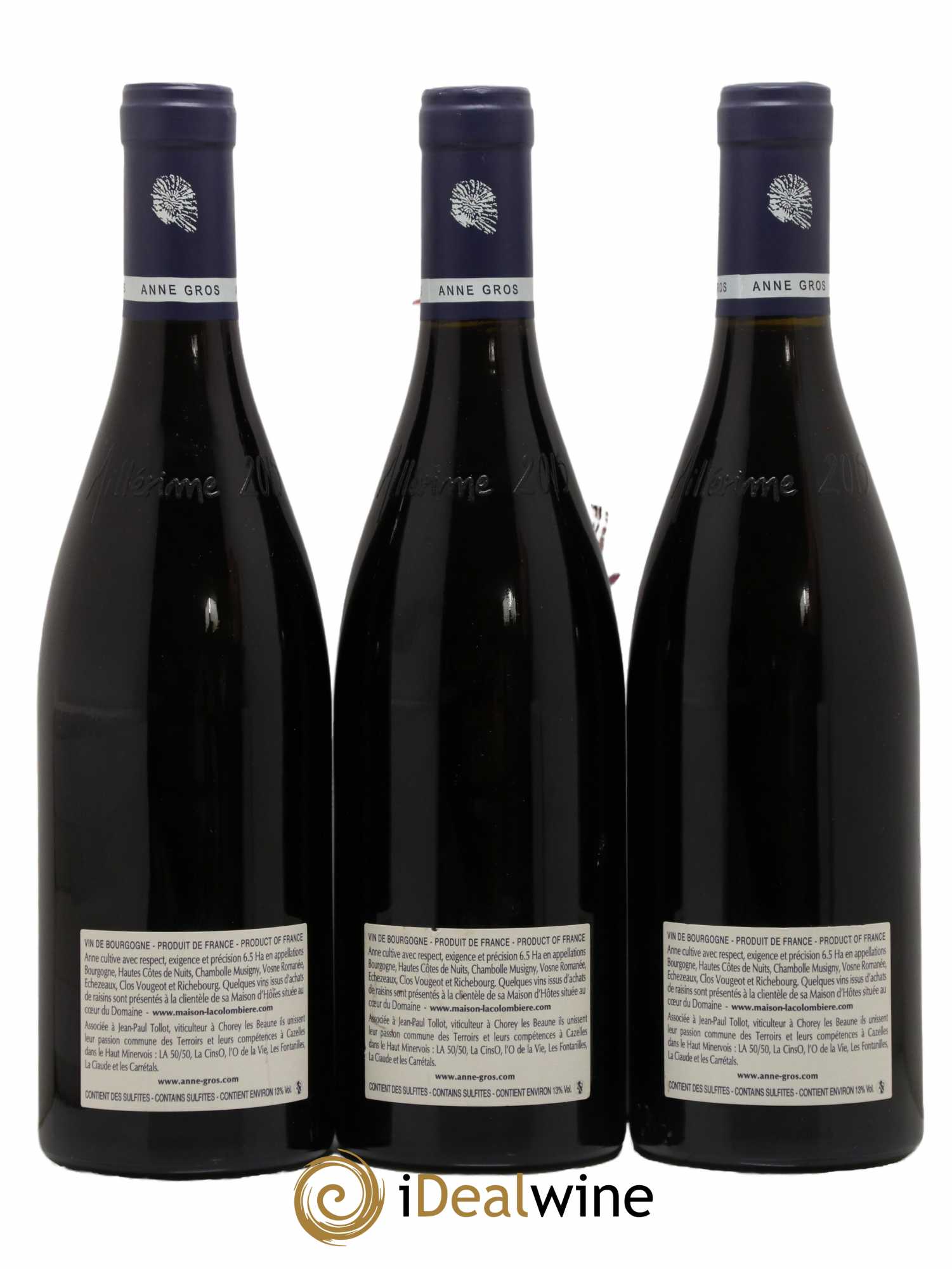 Clos de Vougeot Grand Cru Le Grand Maupertui Anne Gros  2015 - Lot de 3 Bouteilles