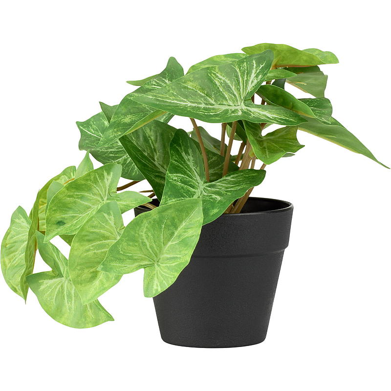 Home Grønnplante 17 cm kunstig Taro/Alocasia