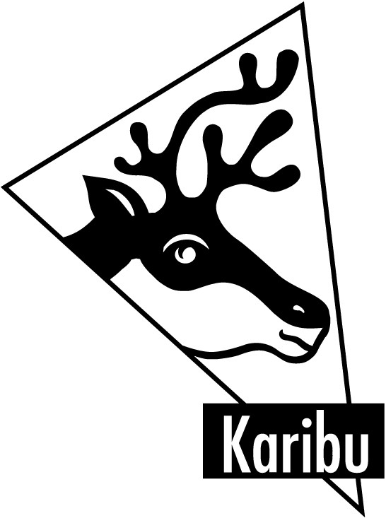 Karibu Flachdach-Einzel-Carport 