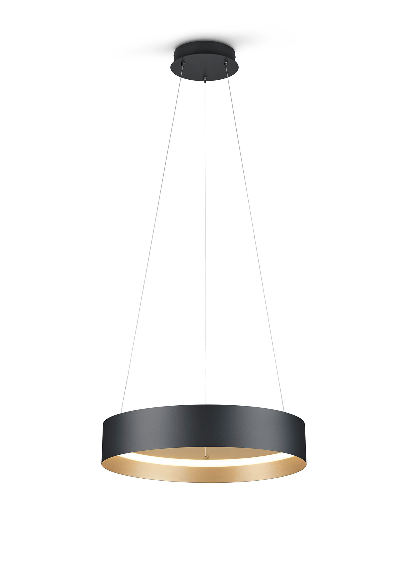 MusterringLED-Pendelleuchte 1flg