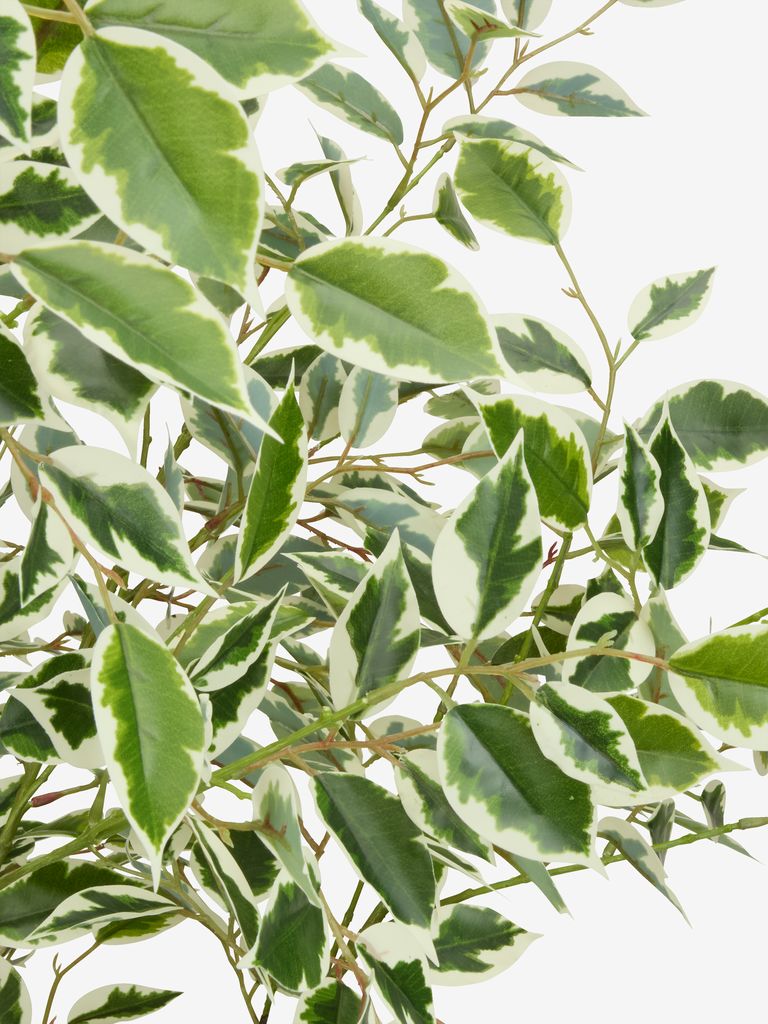 GUNNULF Artificial plant GUNNULF H150cm with pot
