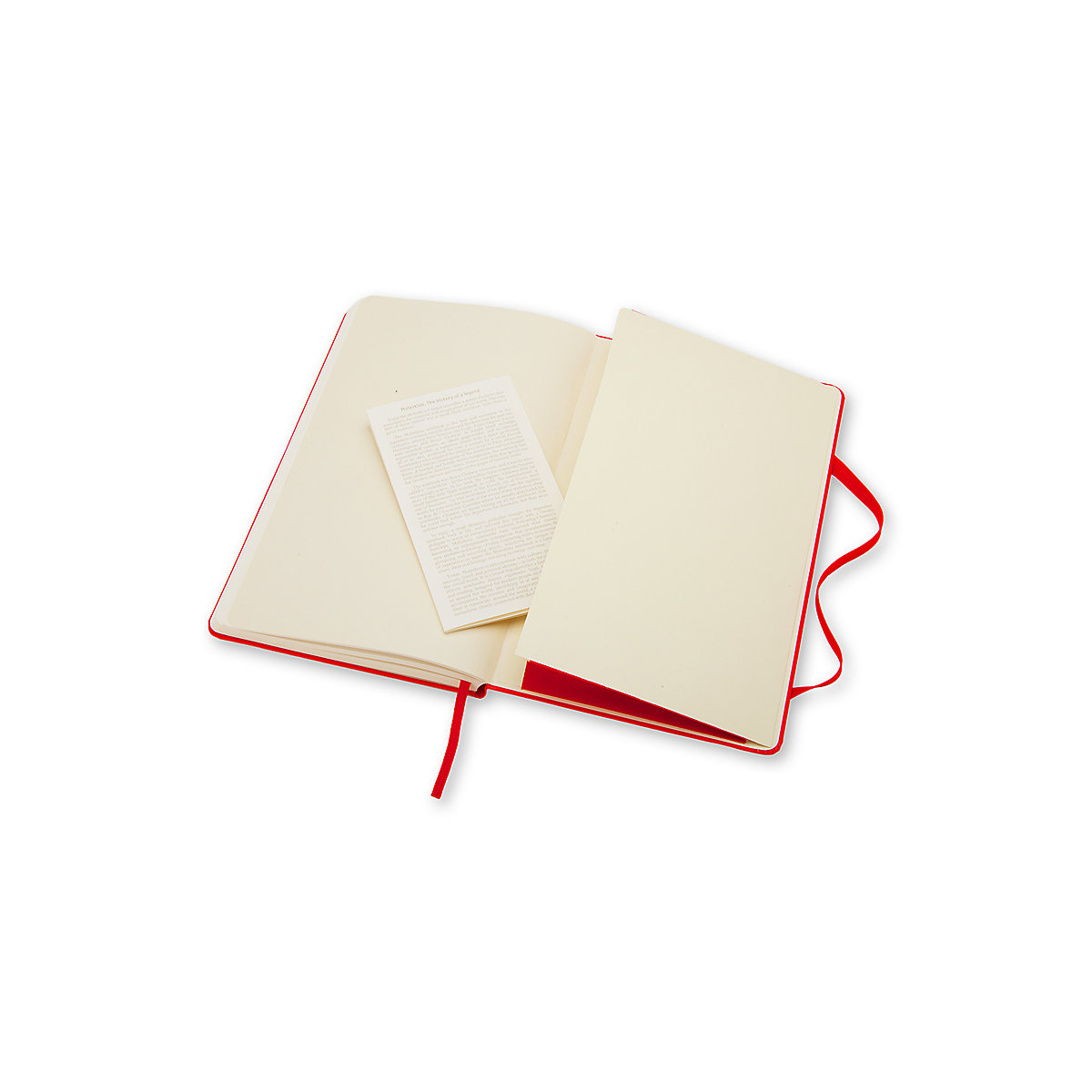 Notizbücher L/A5- Blanko Notizbücher