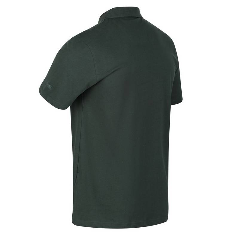 Regatta Sinton Poloshirt Herren