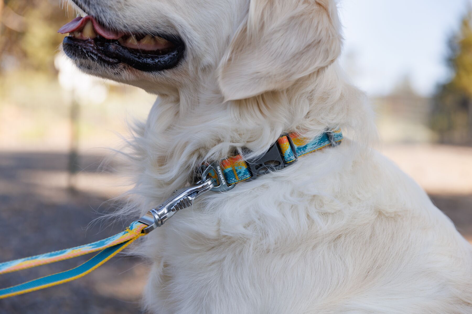 Ruffwear Hundeleinen Ruffwear Verstellbare Hundeleine Crag EX™ blau/ türkis/ beige/ braun