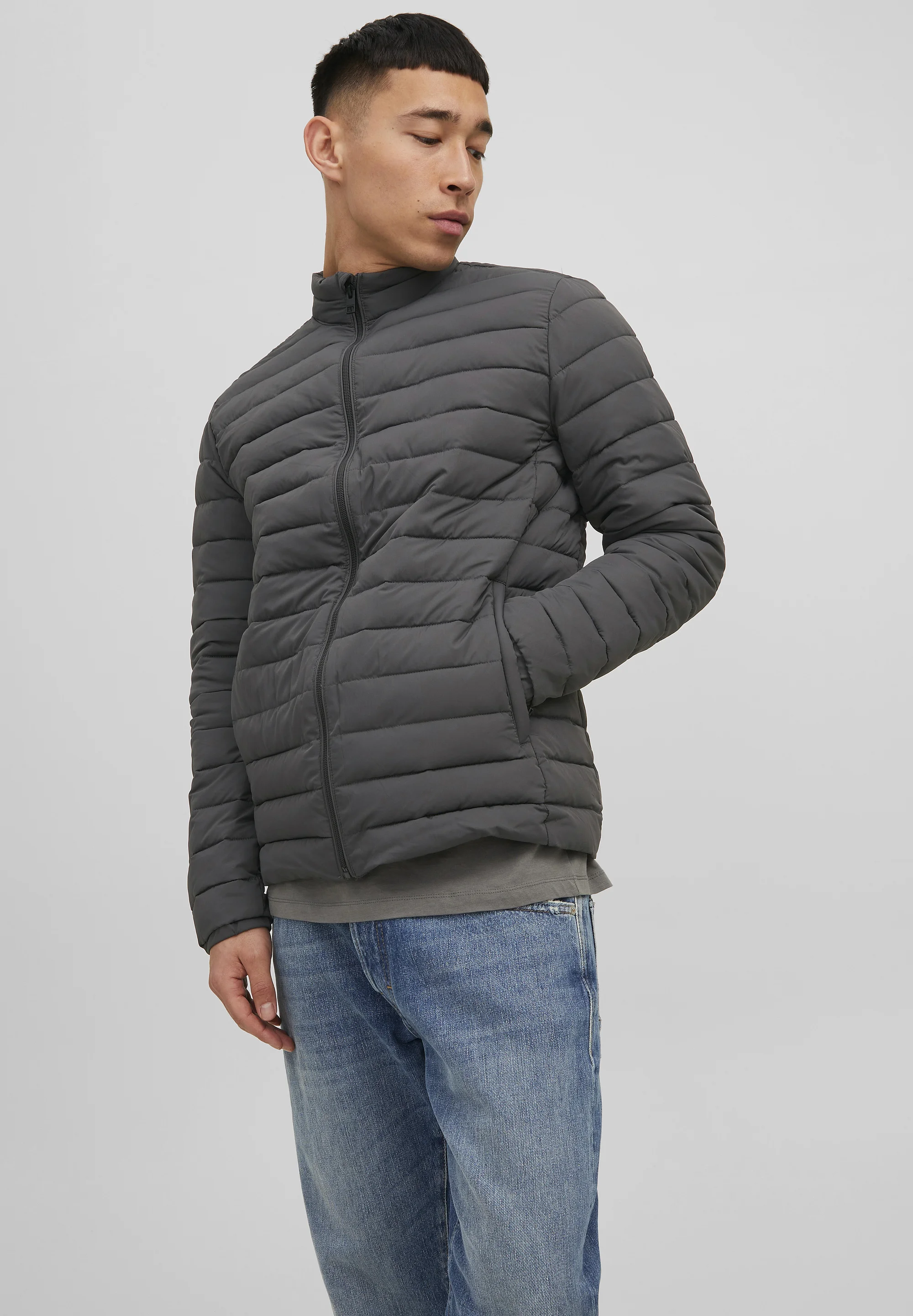 Jack & Jones PREMIUM JJERECYCLE PUFFER COLLAR - Chaqueta de entretiempo