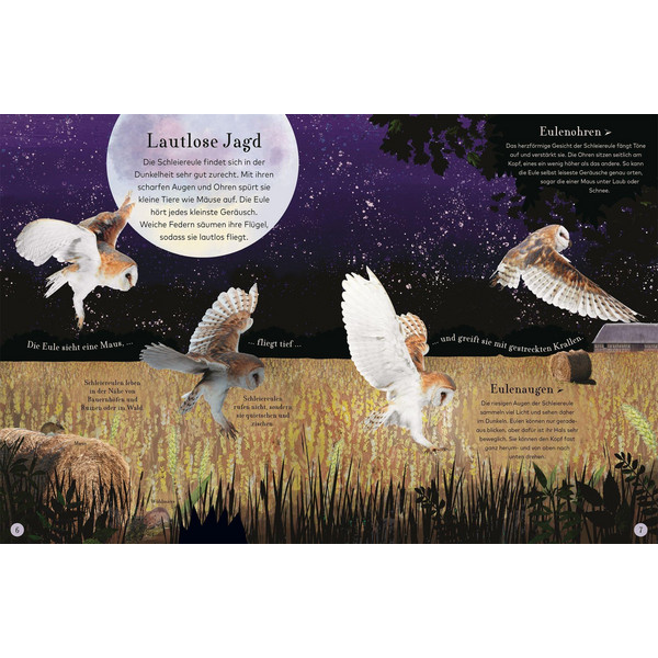 WUNDERVOLLE REISE DURCH DIE NACHT - Kinderbuch