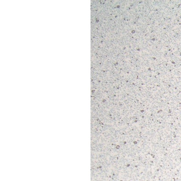 Flex-Well Frontblende Wito, (B x H x T) 110 x 85/86 x 60 cm