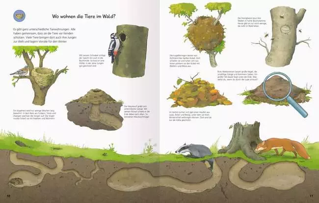 Ravensburger Wieso? Weshalb? Warum? Stickerheft: Im Wald