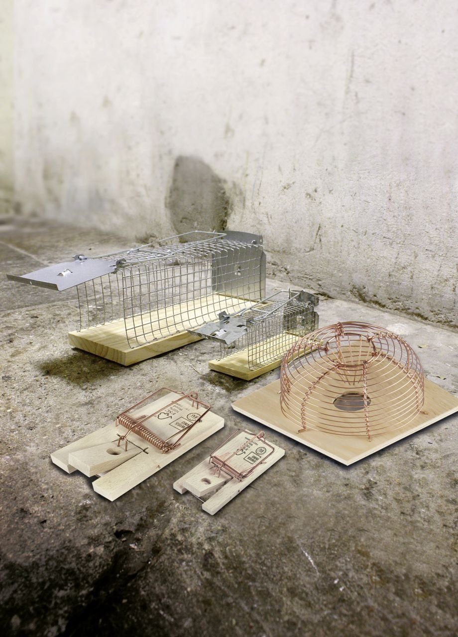 Swissinno Insektenvernichtungsmittel Swissinno Holz-Rattenfalle FSC Classic